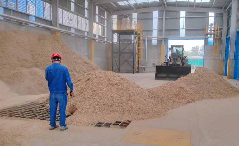 Biomass Co-firing in CHP Plant