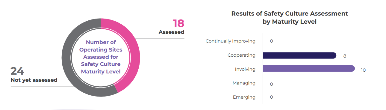Graph Safety Culture Maturilty Level Assessment